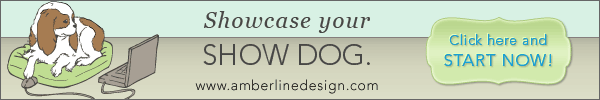 Amberline Design