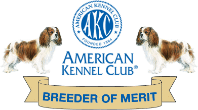 AKC Breeder of Merit